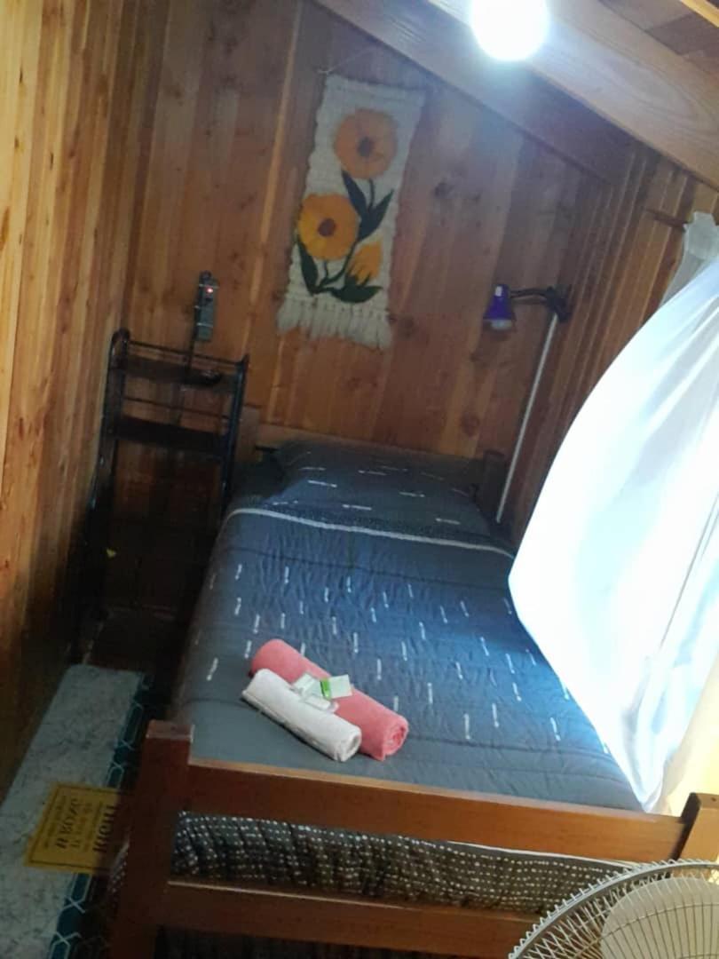 Hostal Newen Villarrica Dış mekan fotoğraf